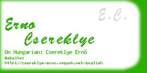 erno csereklye business card